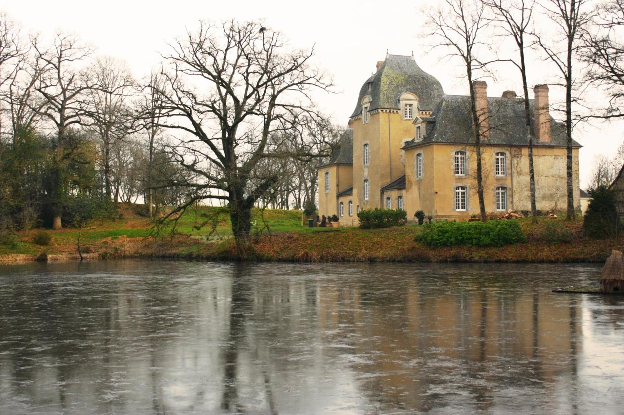 Chateau Du Bois Glaume Poligné エクステリア 写真